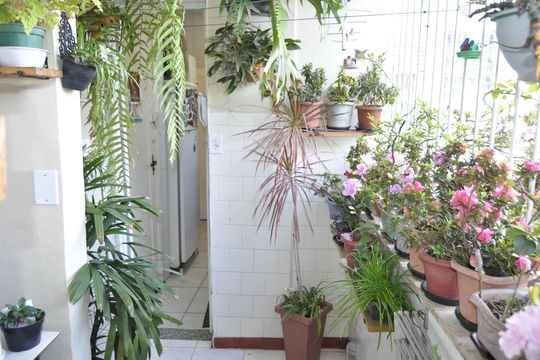 Apartamento à venda com 2 quartos, 85m² em Engenho Novo, Rio de Janeiro