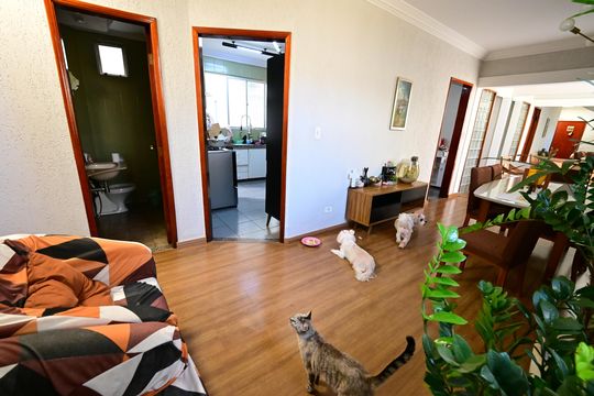 Casa de Condomínio à venda com 5 quartos, 247m² em Setor Bueno, Goiânia