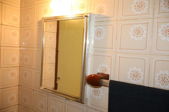 Banheiro de casa para alugar com 1 quarto, 79m² em Jardim Iva, São Paulo