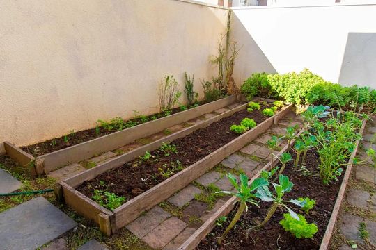 Área externa de apartamento para alugar com 2 quartos, 70m² em Vila Ema, São Paulo