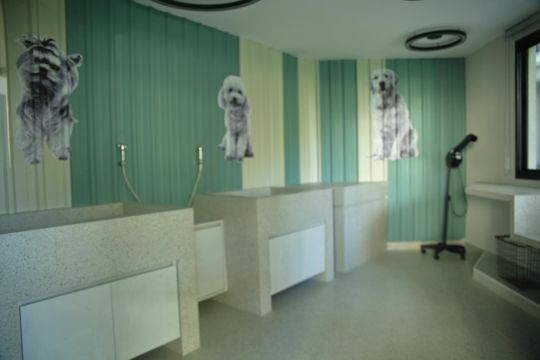 Área comum -Espaço Pet  de apartamento à venda com 2 quartos, 54m² em Centro, São Bernardo do Campo