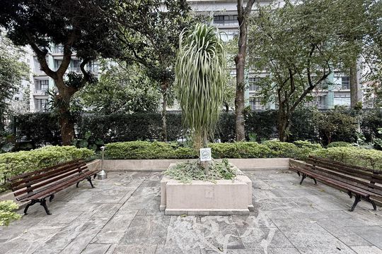 Área comum de apartamento para alugar com 3 quartos, 103m² em Chácara Santo Antônio, São Paulo