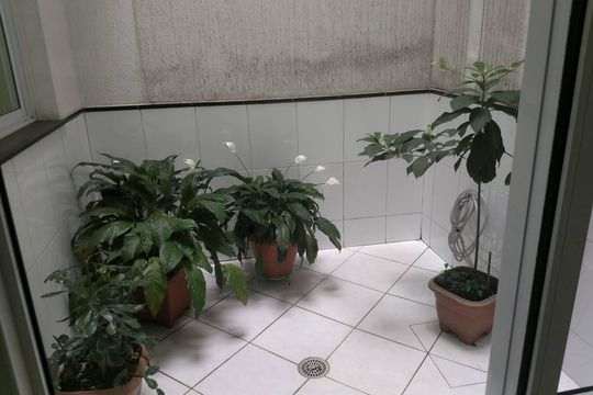 Área externa de casa à venda com 3 quartos, 133m² em Vila Buenos Aires, São Paulo