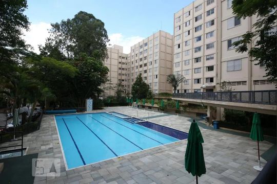 Área comum - Piscina de apartamento para alugar com 3 quartos, 70m² em Jardim Taquaral, São Paulo