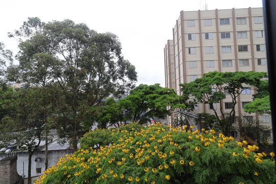 Quarto 2 - vista de apartamento para alugar com 3 quartos, 70m² em Jardim Taquaral, São Paulo