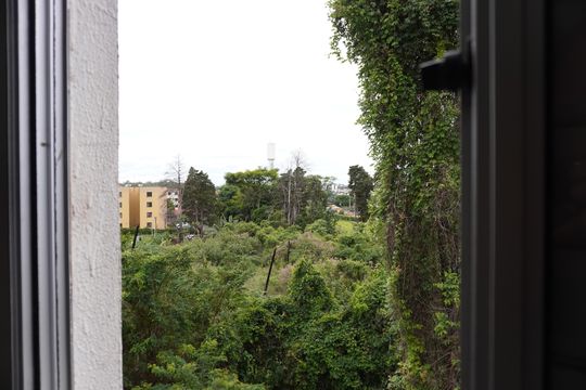 Vista Quarto 2 de apartamento para alugar com 2 quartos, 50m² em Jardim Jockei Club A, São Carlos