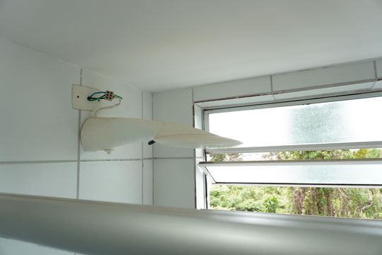 Banheiro de apartamento para alugar com 2 quartos, 50m² em Jardim Jockei Club A, São Carlos