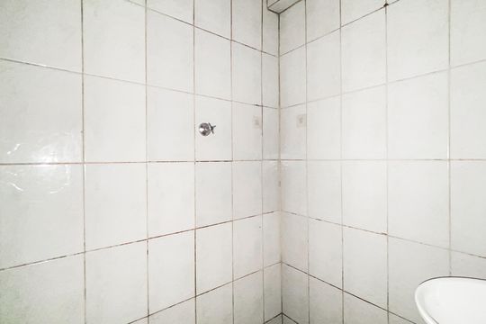 Banheiro de casa para alugar com 1 quarto, 30m² em Parque Boturussu, São Paulo