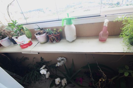 Sacada da suíte de apartamento à venda com 3 quartos, 75m² em Jardim Umuarama, São Paulo