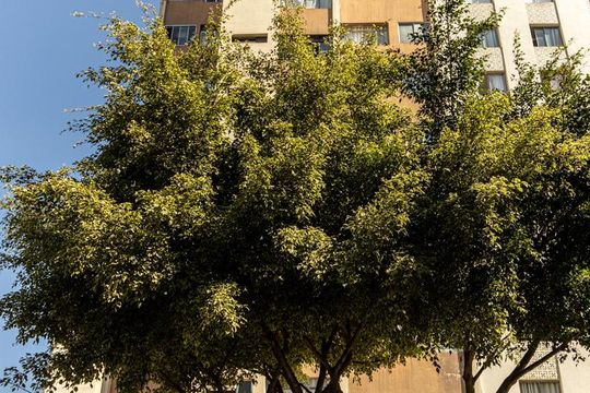 Fachada de kitnet/studio à venda com 1 quarto, 30m² em Barra Funda, São Paulo