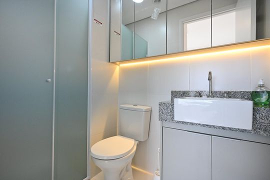 Banheiro Suíte  de apartamento para alugar com 2 quartos, 59m² em Vila Progredior, São Paulo