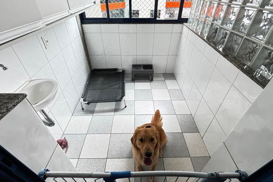 Área de Serviço - Espaço pet de apartamento à venda com 4 quartos, 190m² em Vila Valparaíso, Santo André