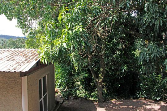 Quarto 1 Vista de casa de condomínio para alugar com 3 quartos, 280m² em Condominio Fazenda São Joaquim, Vinhedo