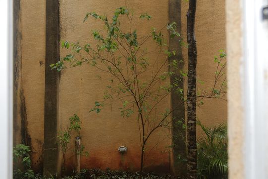 Vista da janela quarto 1 de apartamento para alugar com 2 quartos, 51m² em Parque Dom Joao Neri, São Paulo