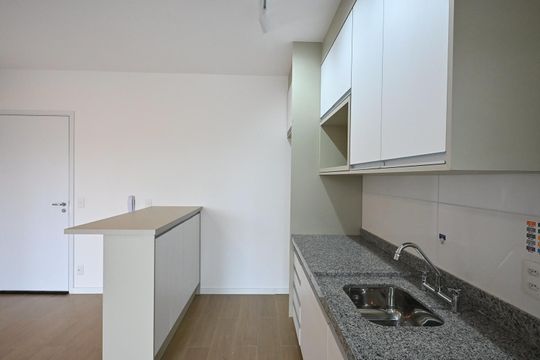 Cozinha de apartamento para alugar com 2 quartos, 59m² em Vila Progredior, São Paulo