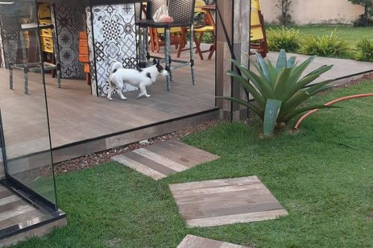 Apartamento à venda com 5 quartos, 270m² em Recreio dos Bandeirantes, Rio de Janeiro