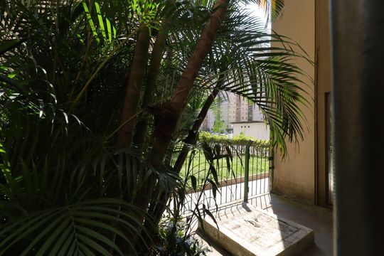Vista Sala de apartamento para alugar com 2 quartos, 58m² em Vila Emir, São Paulo