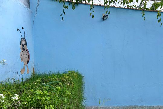 Quintal - Jardim de casa para alugar com 3 quartos, 148m² em São Benedito, Juiz de Fora