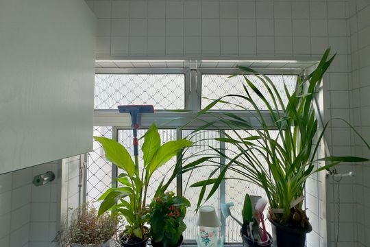 Apartamento à venda com 3 quartos, 74m² em Gopouva, Guarulhos