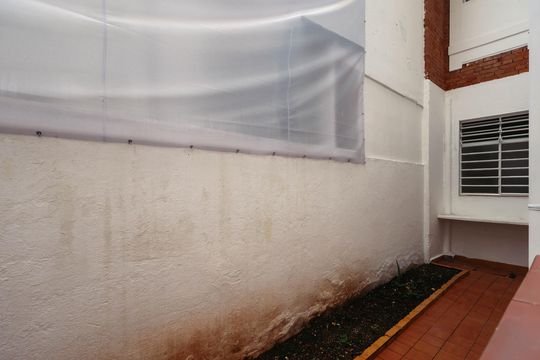 Quintal de casa para alugar com 3 quartos, 180m² em Cambuci, São Paulo