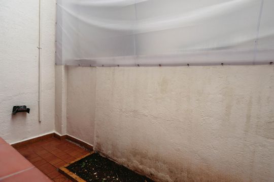 Quintal de casa para alugar com 3 quartos, 180m² em Cambuci, São Paulo