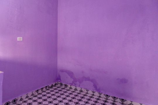 Sala de casa para alugar com 1 quarto, 38m² em Jardim Rosa de Franca, Guarulhos