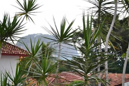 Casa à venda com 4 quartos, 326m² em Jacarepaguá, Rio de Janeiro