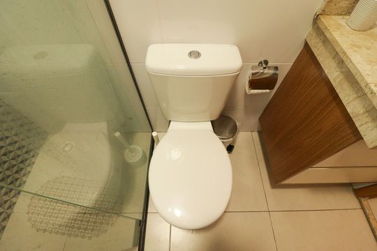 Banheiro de apartamento para alugar com 2 quartos, 50m² em Tucuruvi, São Paulo