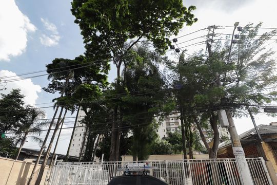 Fachada de apartamento à venda com 3 quartos, 65m² em Vila Amalia (zona Norte), São Paulo