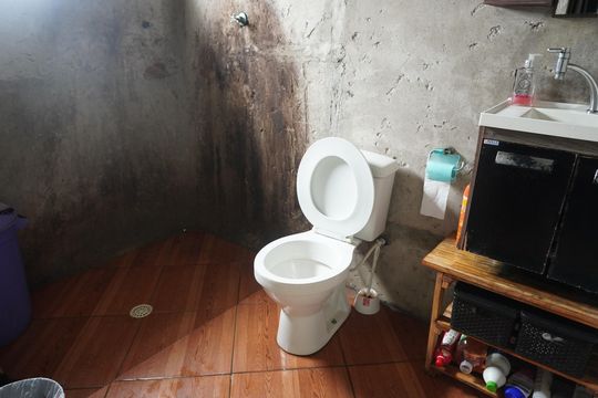 Banheiro da Suíte de casa à venda com 1 quarto, 435m² em Vila Poupanca, Santana de Parnaíba