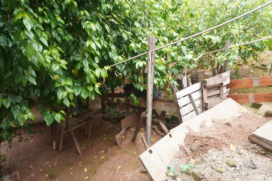 Área externa de casa à venda com 1 quarto, 435m² em Vila Poupanca, Santana de Parnaíba