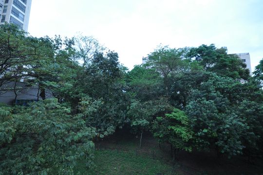 Vista do Quarto Suíte de apartamento à venda com 2 quartos, 70m² em Jardim Leonor Mendes de Barros, São Paulo