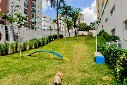 Espaço pet de apartamento à venda com 3 quartos, 73m² em Ponte Grande, Guarulhos