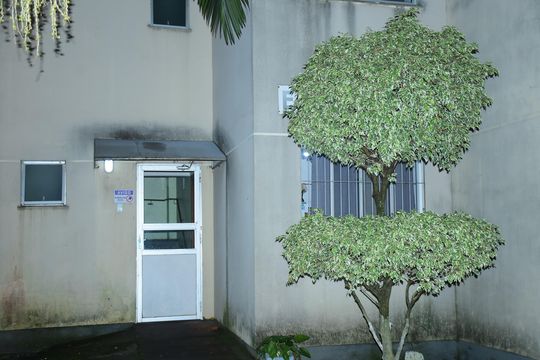 Apartamento para alugar com 2 quartos, 42m² em Parque Marechal Rondon, Cachoeirinha