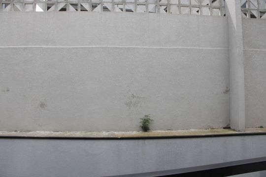 Suíte 3 Vista de casa de condomínio à venda com 3 quartos, 137m² em Jardim Panorama, Vinhedo