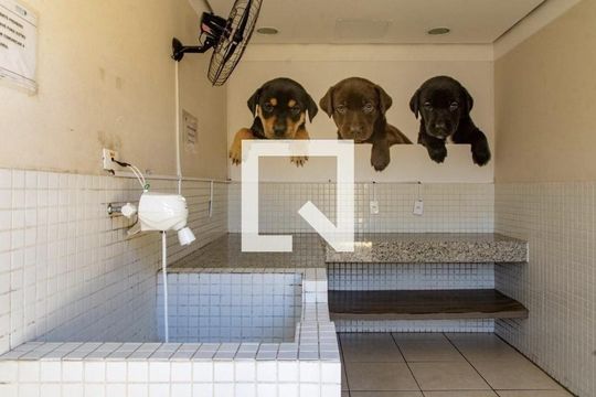 Área comum - Pet de apartamento para alugar com 2 quartos, 48m² em Jardim Gracinda, Guarulhos