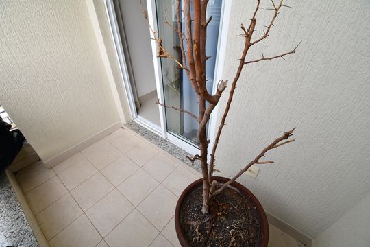 Sala - Sacada de apartamento para alugar com 2 quartos, 70m² em Vila Itapura, Campinas