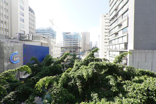 Vista de kitnet/studio para alugar com 1 quarto, 24m² em Vila Mariana, São Paulo