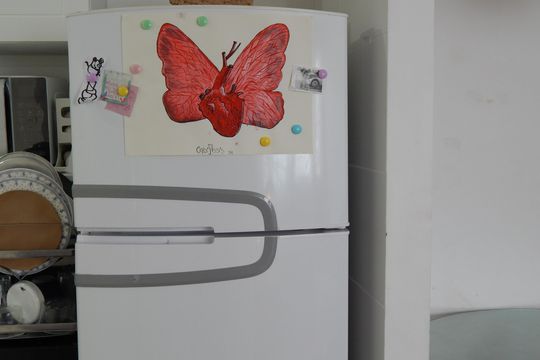 Cozinha de apartamento para alugar com 2 quartos, 41m² em Guaratiba, Rio de Janeiro