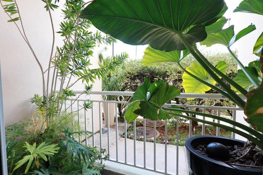 Vista da Sacada de apartamento à venda com 2 quartos, 57m² em Bonfim, Campinas