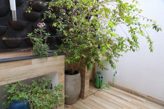 Jardim de casa de condomínio à venda com 3 quartos, 170m² em Capuava, Goiânia