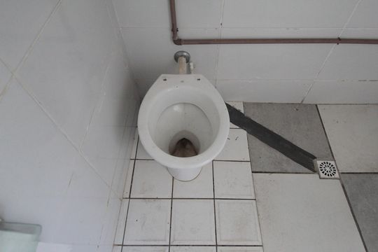 Banheiro de kitnet/studio para alugar com 1 quarto, 25m² em São Bernardo, Belo Horizonte