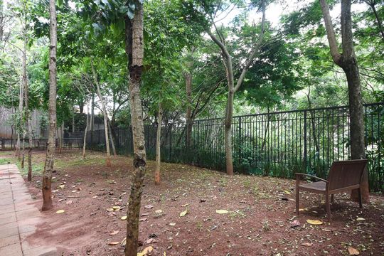 Espaço Pet de apartamento para alugar com 3 quartos, 74m² em Vila Andrade, São Paulo