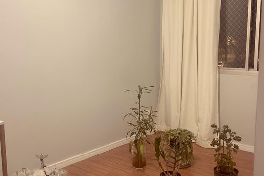 Sala de apartamento à venda com 2 quartos, 62m² em Vila Claudia, São Paulo