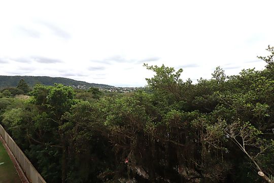 Vista do Quarto 1 de apartamento para alugar com 2 quartos, 45m² em Lomba do Pinheiro, Porto Alegre
