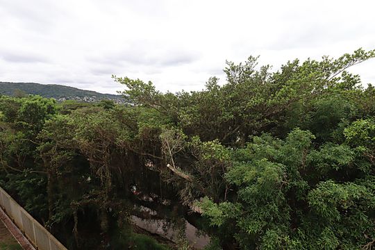 vista do Quarto 2 de apartamento para alugar com 2 quartos, 45m² em Lomba do Pinheiro, Porto Alegre