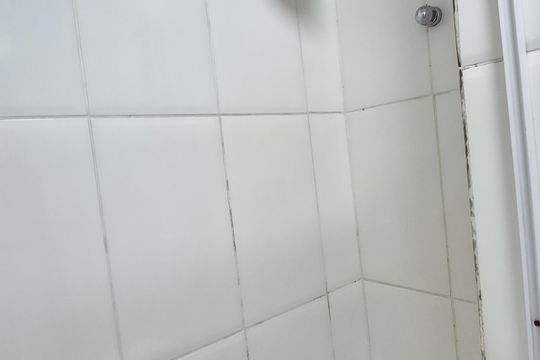 Banheiro  de apartamento para alugar com 2 quartos, 75m² em Higienópolis, Rio de Janeiro