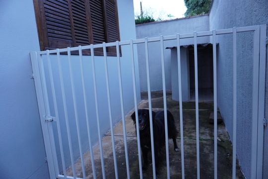 Canil de casa para alugar com 6 quartos, 500m² em Parque dos Timburis, São Carlos