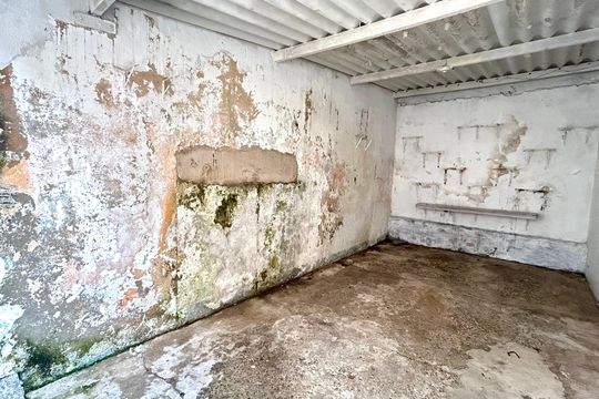 Quintal de casa para alugar com 3 quartos, 110m² em Vila Bremen, Guarulhos