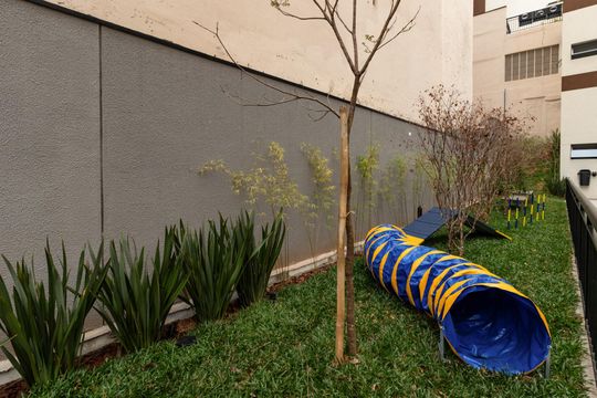 Área comum de apartamento para alugar com 1 quarto, 30m² em Perdizes, São Paulo